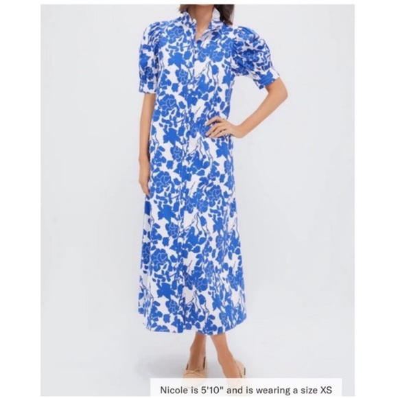 HYACINTH HOUSE Blue Floral Ruffle Collar Louisa Maxi Dress - Picture 1 of 10